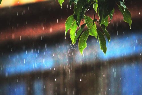 和风细雨往往比拳头棍棒更加奏效