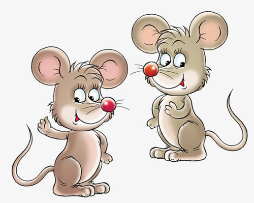 一篇《老鼠开会》的故事